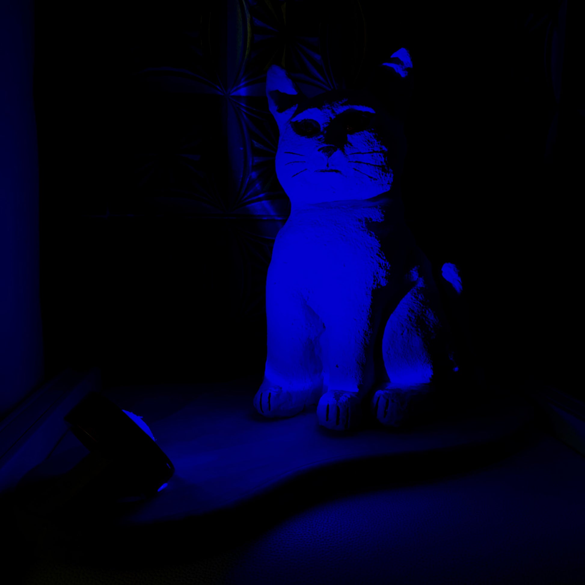 Blue glowing cat-shaped object in a dark setting