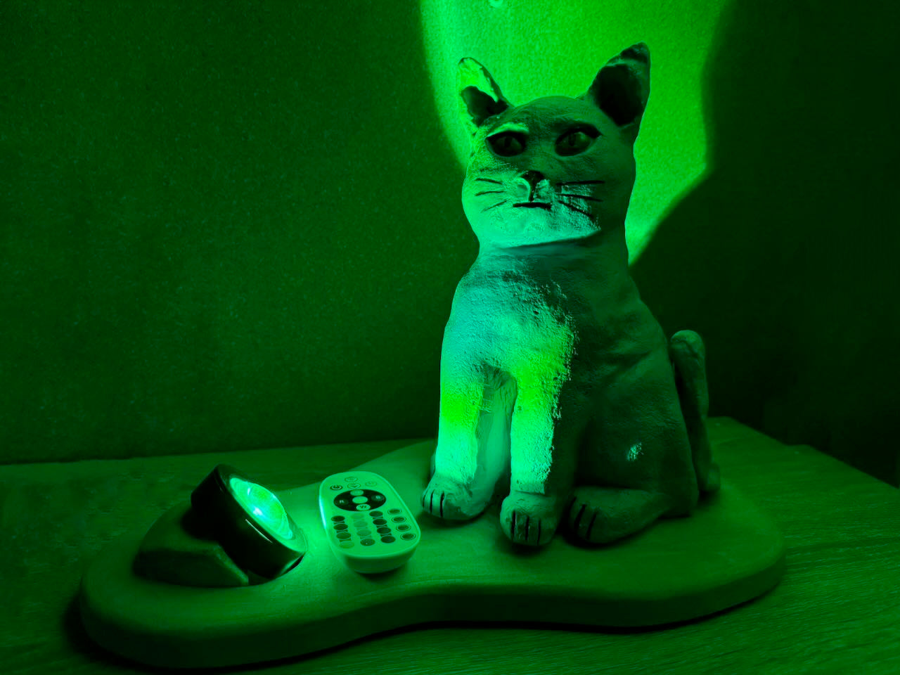 Cat-shaped night light with remote control under green lighting