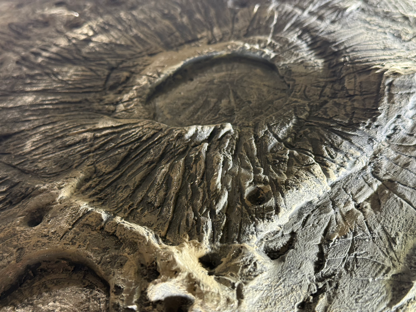 Close-up of a textured stone surface with natural patterns