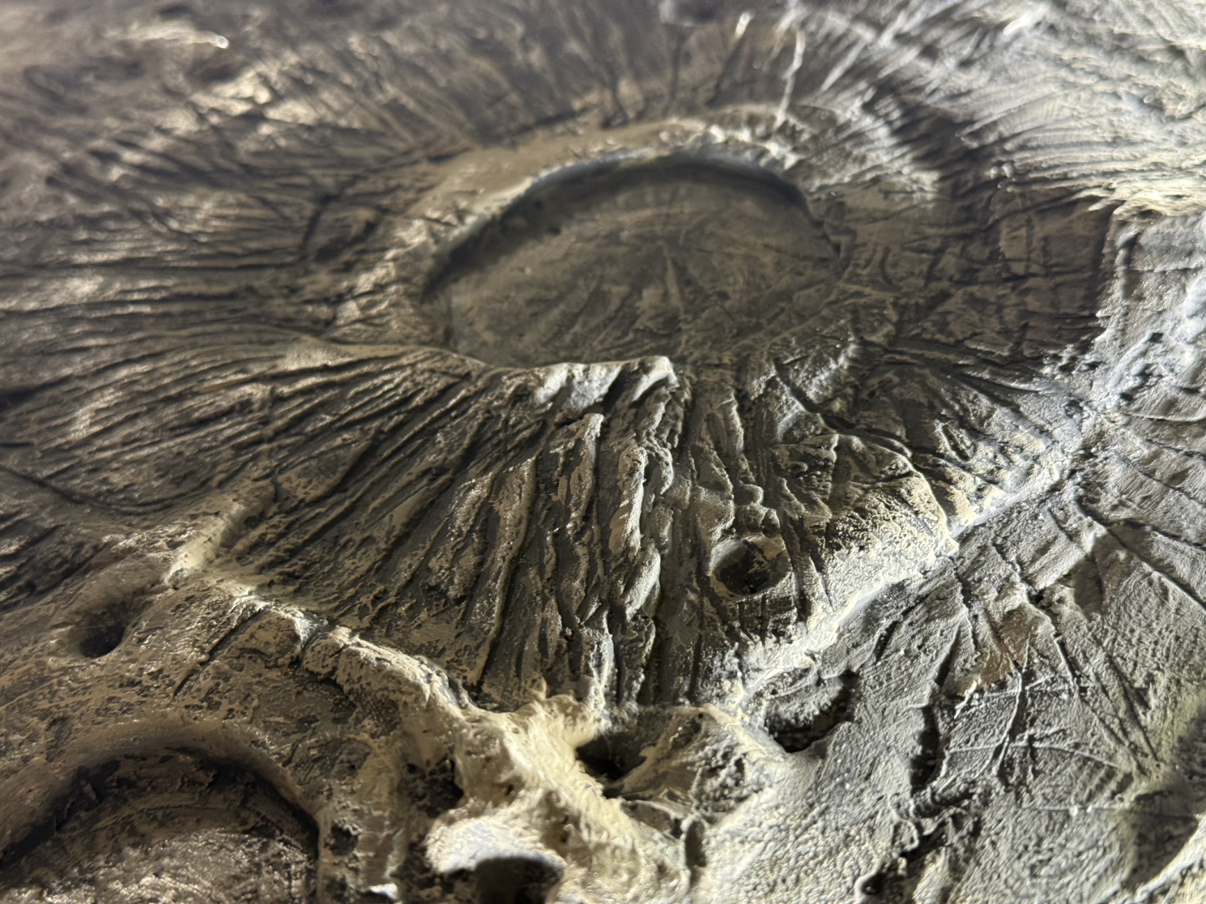Close-up of a textured stone surface with natural patterns