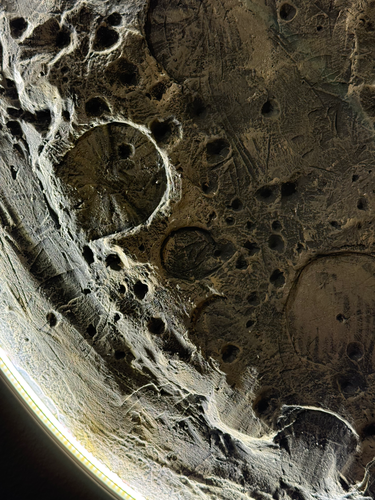 Close-up of a textured surface with circular patterns