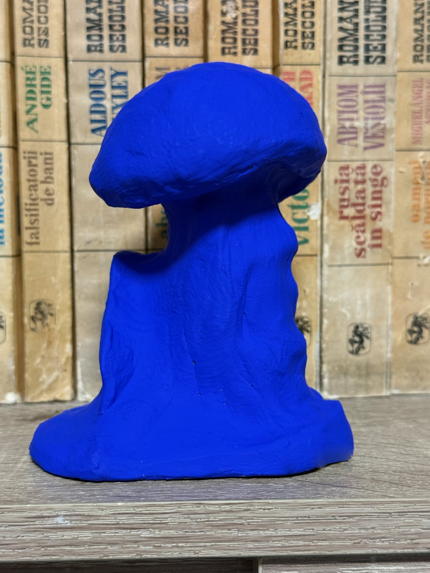 Blue mushroom-shaped object on a wooden surface with cardboard boxes in the background