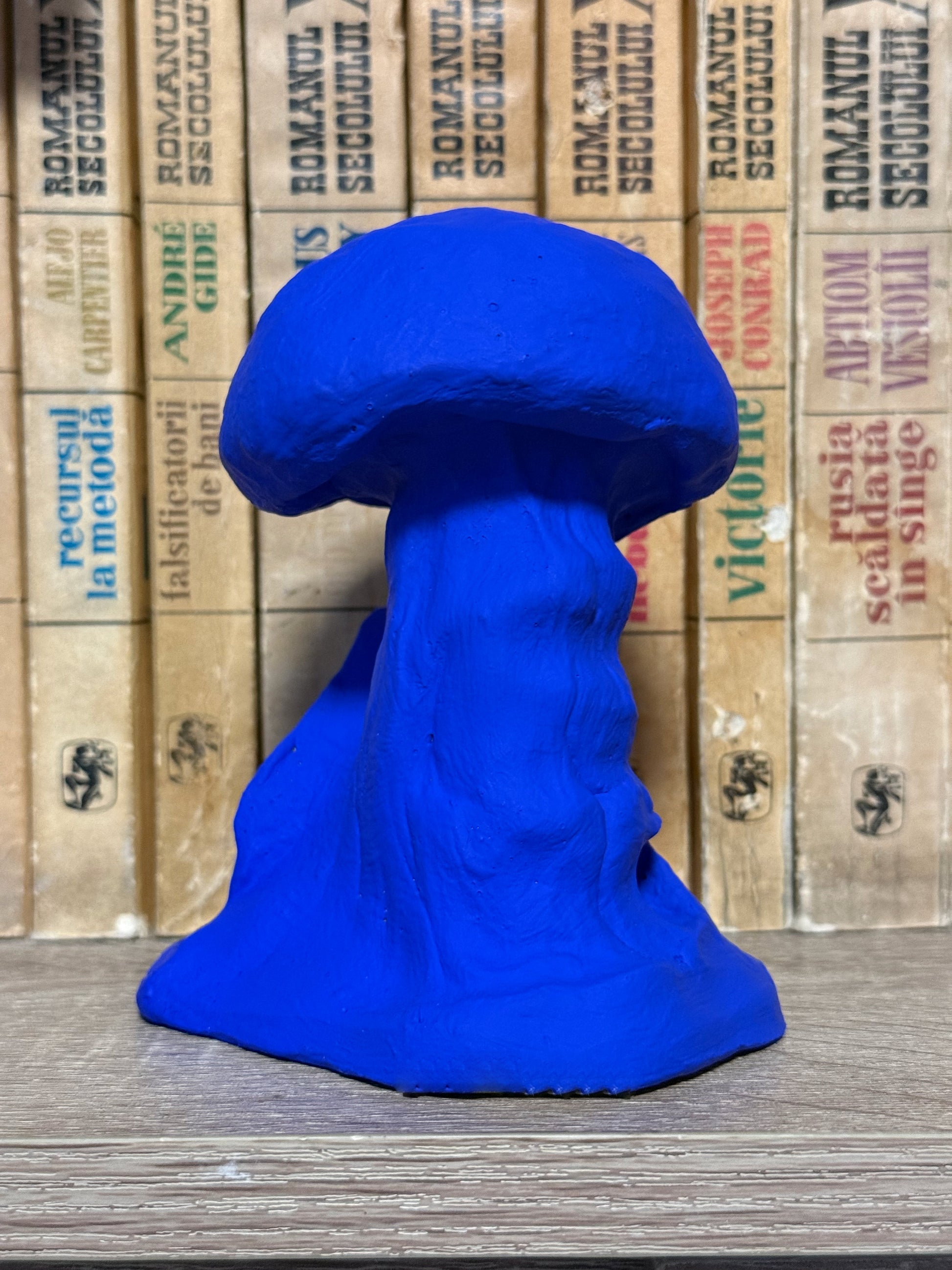 Blue mushroom-shaped object on a wooden surface with cardboard boxes in the background